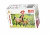 puzzle-54-mini-swiat-koni-2-trefl
