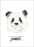 panda-plakat-20x30-cm