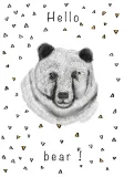 hellobear-plakat-61x915-cm