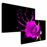 plusk-obraz-drukowany-90x60cm-stan-nowy