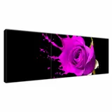 plusk-obraz-drukowany-120x40cm-stan-nowy