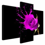 plusk-obraz-drukowany-90x70cm-stan-nowy
