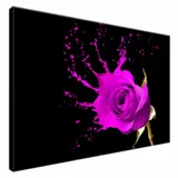 plusk-obraz-drukowany-90x60cm-stan-nowy