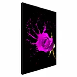 plusk-obraz-drukowany-50x70cm-stan-nowy