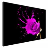 plusk-obraz-drukowany-120x80cm-stan-nowy