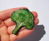 naszywka-broccoli-stan-nowy
