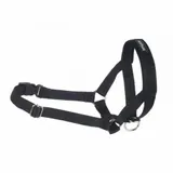 amiplay-halter-seria-basic-roz-xxl-czarny