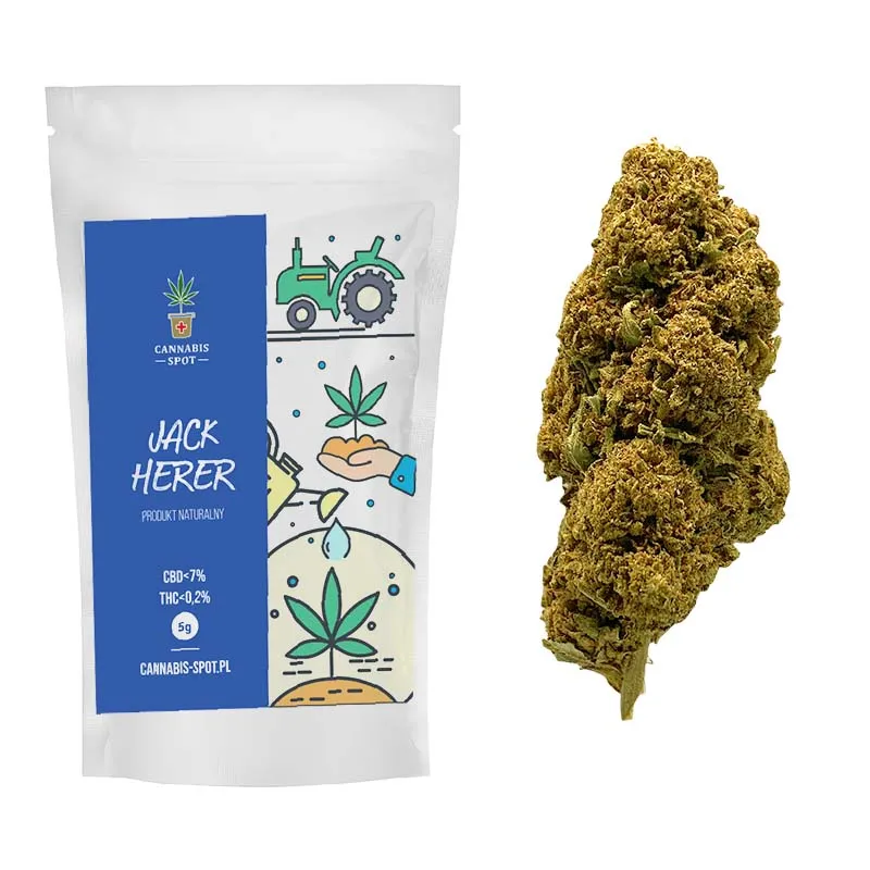 信頼も厚い Jack ERLI.pl - 113214160 – gram 1 <7% CBD Konopny Susz Herer リラクゼーショングッズ