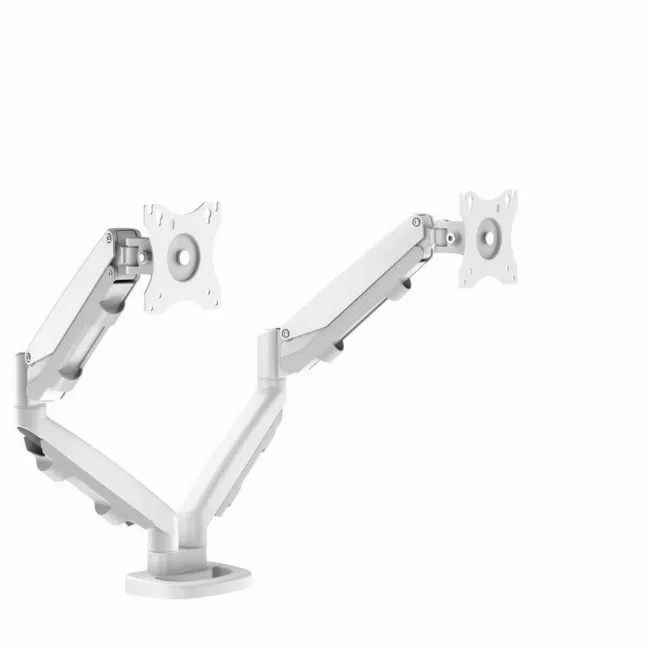 fellowes-ramie-na-2-monitory-eppa-9683501-biale