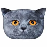 poduszka-british-cat