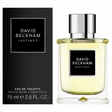 david-beckham-instinct-men-edt-75ml