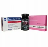 meta-testo-testosterol-winstrol-metanabol