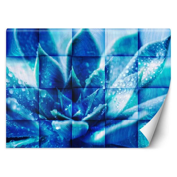 Fototapeta Niebieski kwiat 100x70