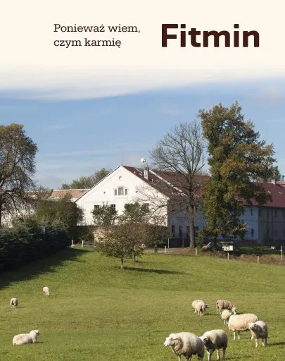 fitmin-maxi-junior-3kg