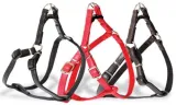 dingo-szelki-fred-basic-rozm-50-szer-16cm-czarne
