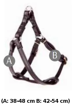 dingo-szelki-fred-basic-rozm-50-szer-16cm-czerwone