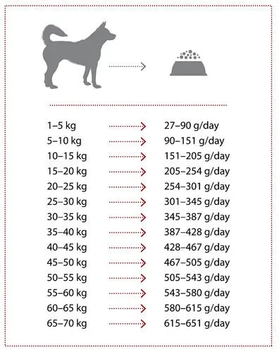 natures-protection-extra-salmon-12kg