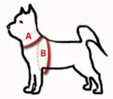 dingo-szelki-fred-twilight-silver-bordowe