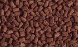 tetra-tortoise-500-ml