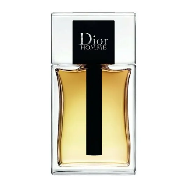 dior dior homme