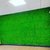 panel-scienny-mech-chrobotek-zastosowanie-dekoracja-sciany
