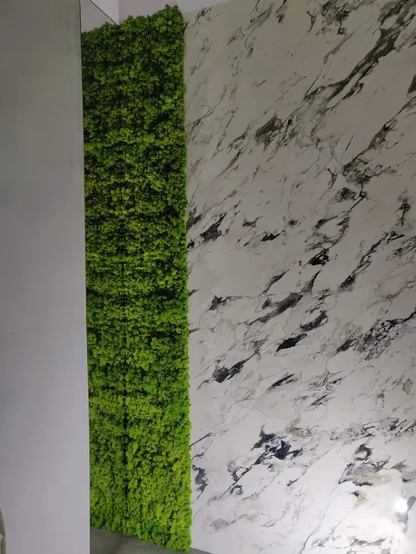 panel-scienny-mech-chrobotek-material-inny-zastosowanie-dekoracja-sciany