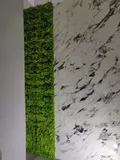 panel-scienny-mech-chrobotek-material-inny-zastosowanie-dekoracja-sciany