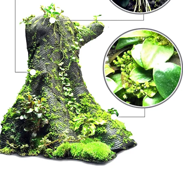 wacool-rainforest-plant-cotton-m-hydrolon