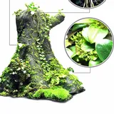 wacool-rainforest-plant-cotton-m-hydrolon