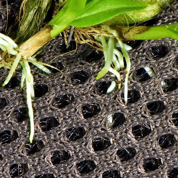 wacool-rainforest-plant-cotton-m-hydrolon