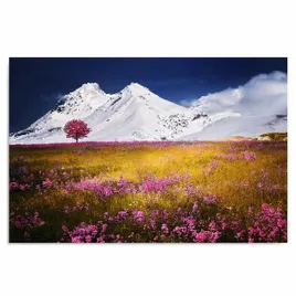 obraz-na-plotnie-alpy-60x40