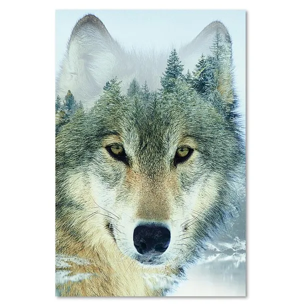 obraz-na-plotnie-wilk-na-tle-lasu-40x60-stan-nowy