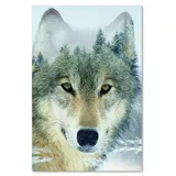 obraz-na-plotnie-wilk-na-tle-lasu-60x90-stan-nowy