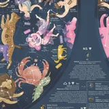 mapa-nieba-mapa-scienna-arkusz-140x100-cm-artglob-okladka-inna