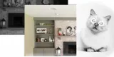 kamera-amaryllo-icam-plus-hd-360-stan-nowy