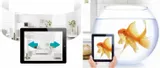 amaryllo-koova-face-detect-auto-tracking-easycloud-stan-nowy