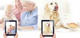 amaryllo-koova-face-detect-auto-tracking-easycloud-stan-nowy