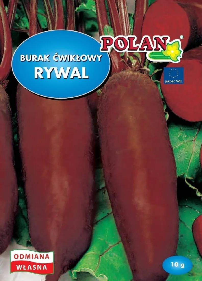 burak-cwiklowy-rywal-nasiona-10g-polan