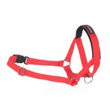 amiplay-halter-basic-rozmiar-s-czerwony