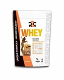 r2g-whey-bialko-serwatkowe-koncentrat-odzywka-wpc-bez-cukru-500g