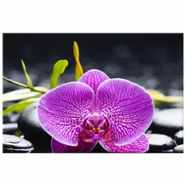 obraz-drukowany-orchidea-30x20