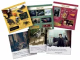 gra-brainbox-harry-potter-plec-brak-informacji