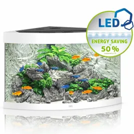 juwel-trigon-190-led-bialy-akwarium