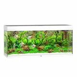 juwel-rio-240-led-akwarium