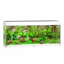 juwel-rio-240-led-akwarium