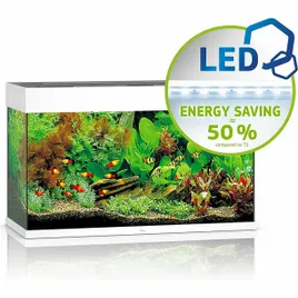 juwel-rio-125-led-bialy-akwarium