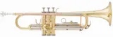 arnoldsandsons-atr-235-trabka-bb