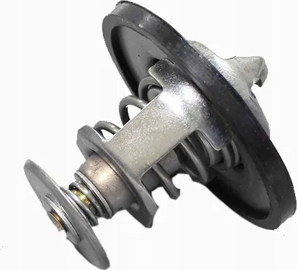 termostat-citroen-c8-2-0-hdi-02-