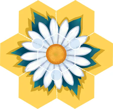 beez-edycja-polska-stan-nowy