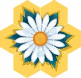 beez-edycja-polska-stan-nowy